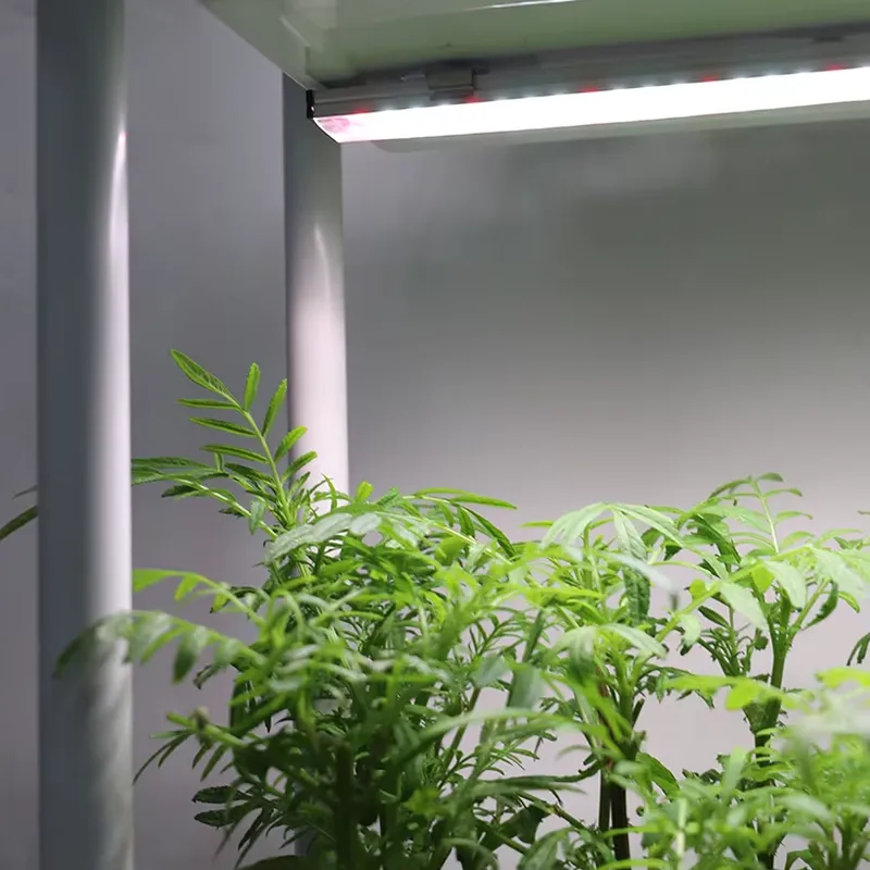 Vertical Planter - نظام زراعة عمودي متحرك بثلاثة مستويات