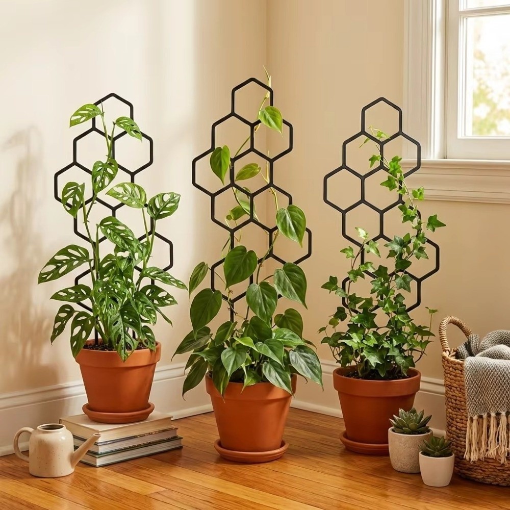Indoor Herb Garden - دعامة نباتات بتصميم خلية النحل، إطار