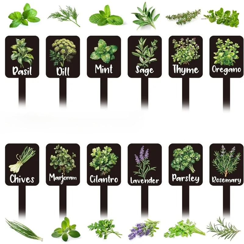 Indoor Herb Garden - مجموعة من 24 قطعة من علامات