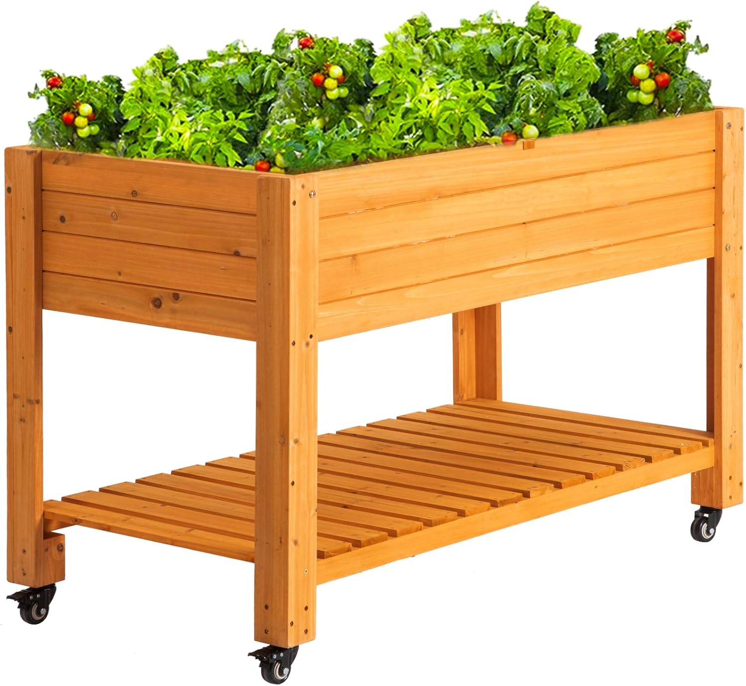 حوض زراعة خشبي متنقل مرتفع، طب - مراجعة Raised Garden Bed وسعره