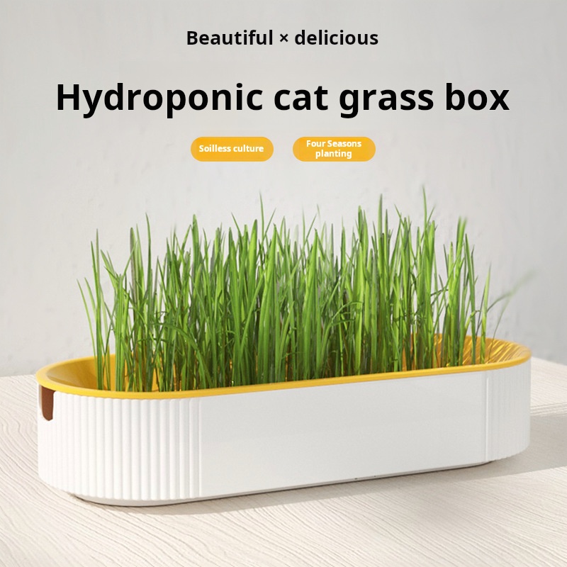 صندوق زراعة عشب القطط الهيدروب - مراجعة Hydroponic Kit وسعره