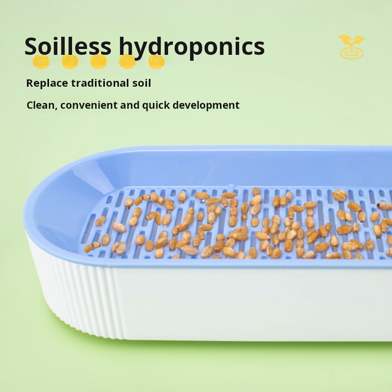 صندوق زراعة عشب القطط الهيدروب - مراجعة Hydroponic Kit وسعره