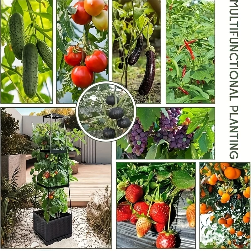 برج الطماطم مع صندوق زراعة ذات - مراجعة Indoor Herb Garden وسعره