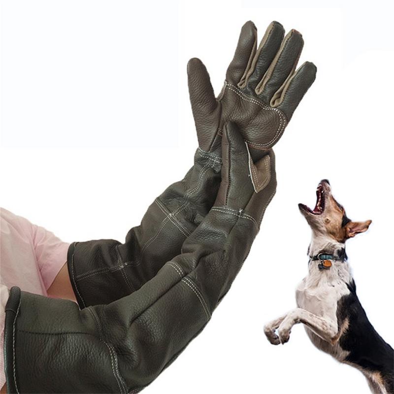 قفازات الحيوانات الأليفة جلد ا - مراجعة Garden Gloves وسعره