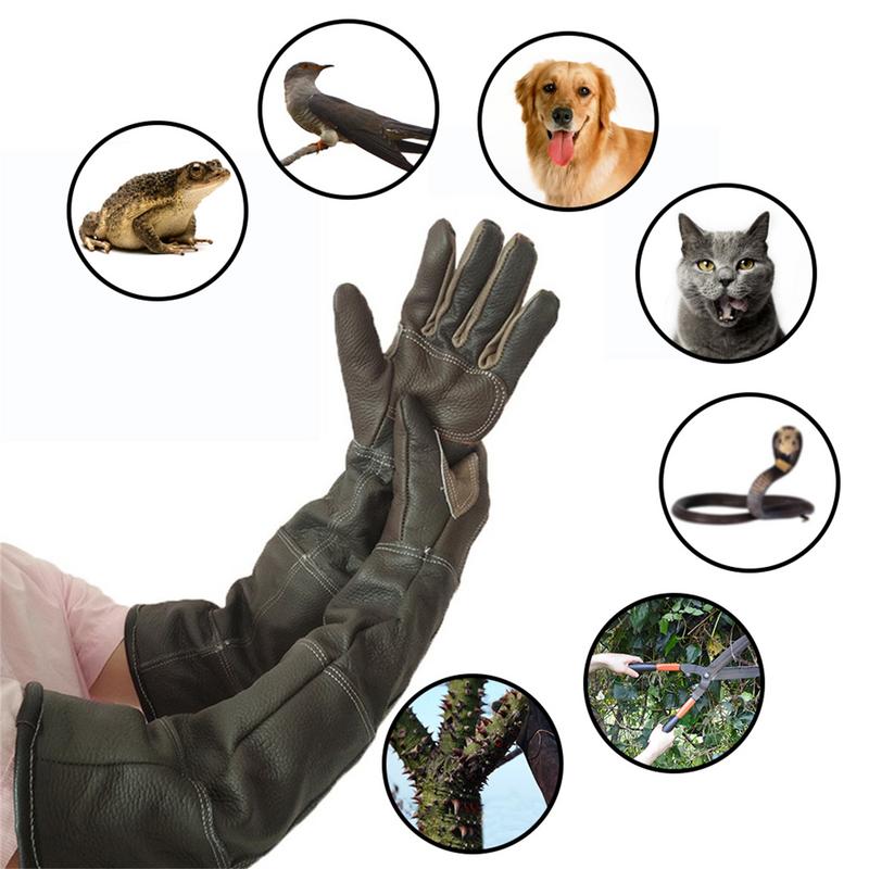 قفازات الحيوانات الأليفة جلد ا - مراجعة Garden Gloves وسعره