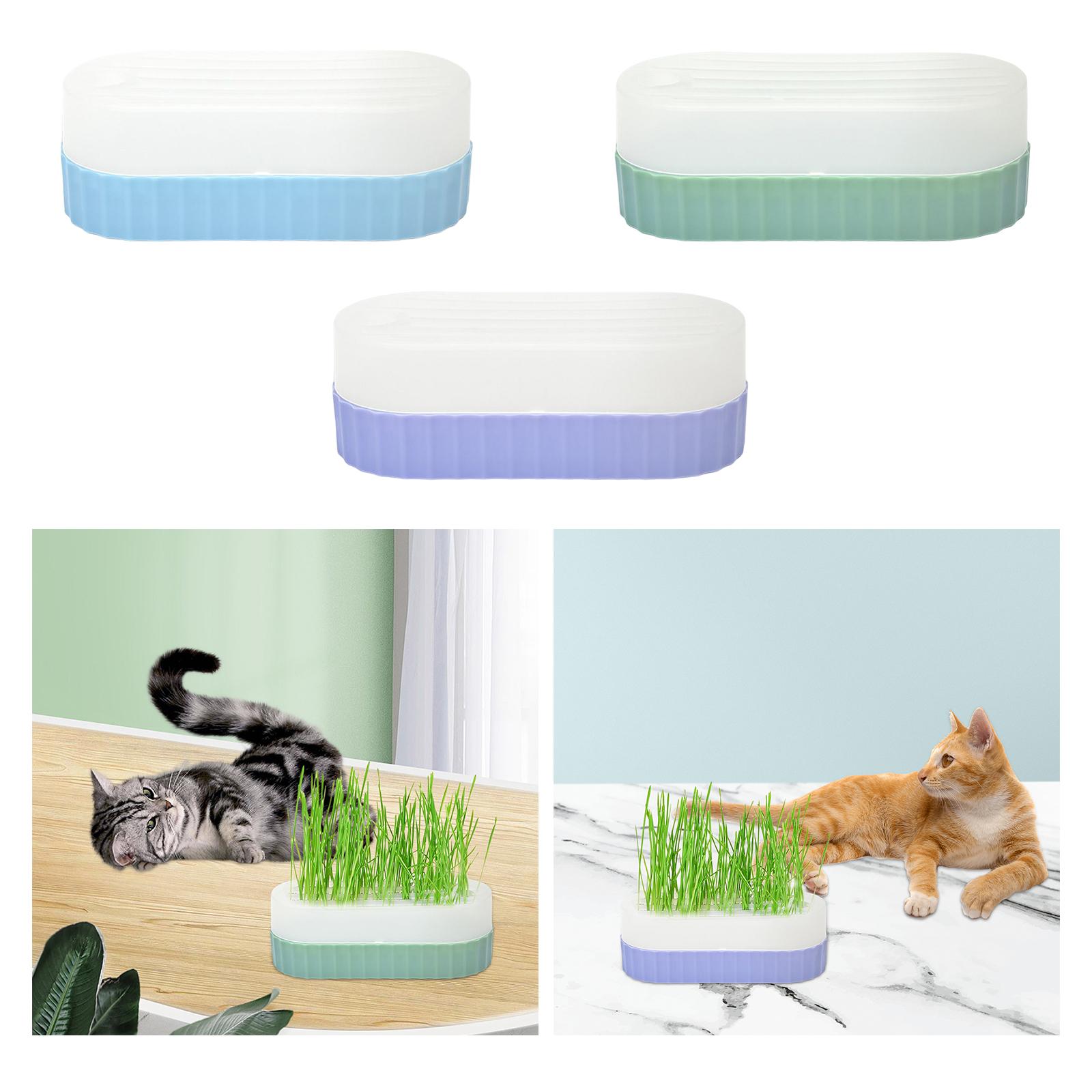صينية لزراعة البذور مع فتحات ت - مراجعة Hydroponic Kit وسعره