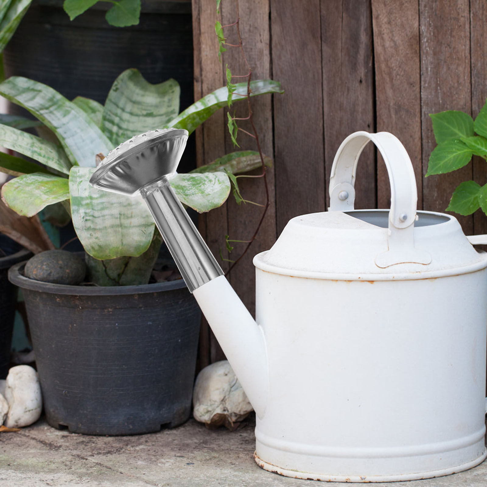 رأس رشاش مصنوع من الفولاذ المق - مراجعة Watering Can وسعره