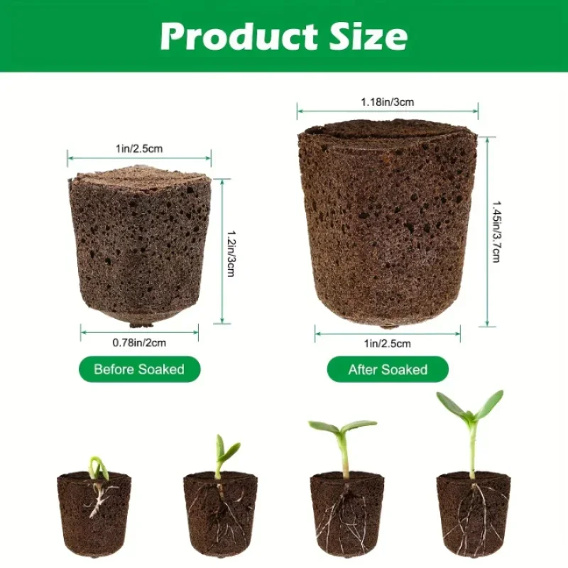 مجموعة إسفنجية لبدء زراعة الشت - مراجعة Hydroponic Kit وسعره