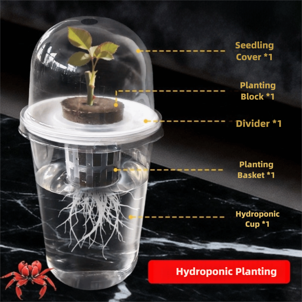 1-5 قطع أكواب شفافة لنمو النبا - مراجعة Seed Starter Tray وسعره