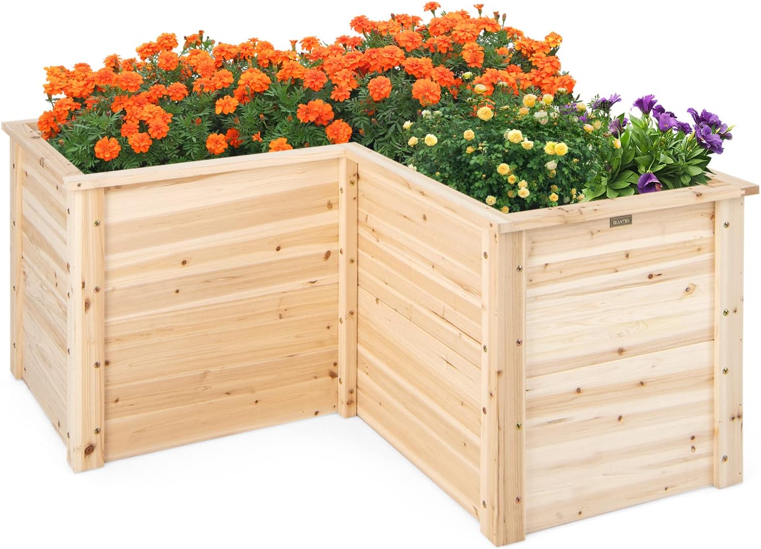 حوض زراعة خشبي صلب للاستخدام ا - مراجعة Raised Garden Bed وسعره