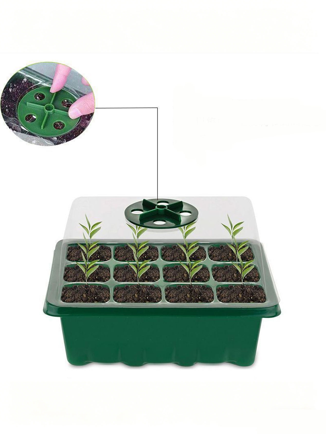 صينية شتلات بـ 6/12 فتحة، مصنو - مراجعة Seed Starter Tray وسعره
