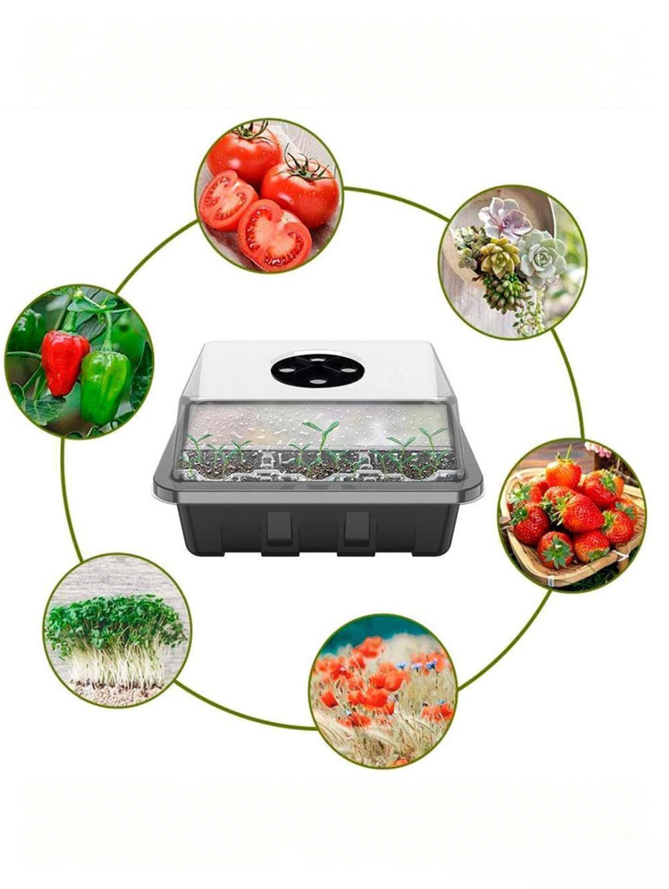 صينية شتلات بـ 6/12 فتحة، مصنو - مراجعة Seed Starter Tray وسعره
