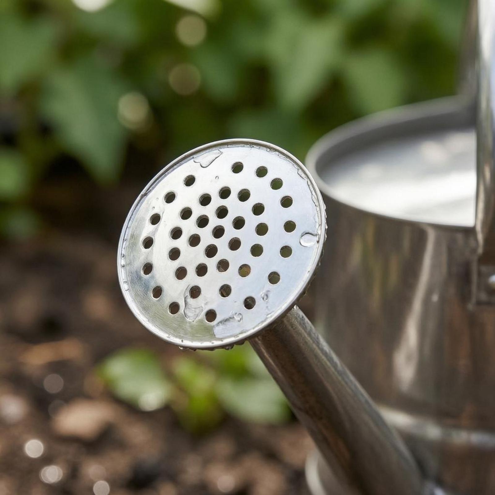 إبريق سقي زهور الحديقة من الفو - مراجعة Watering Can وسعره
