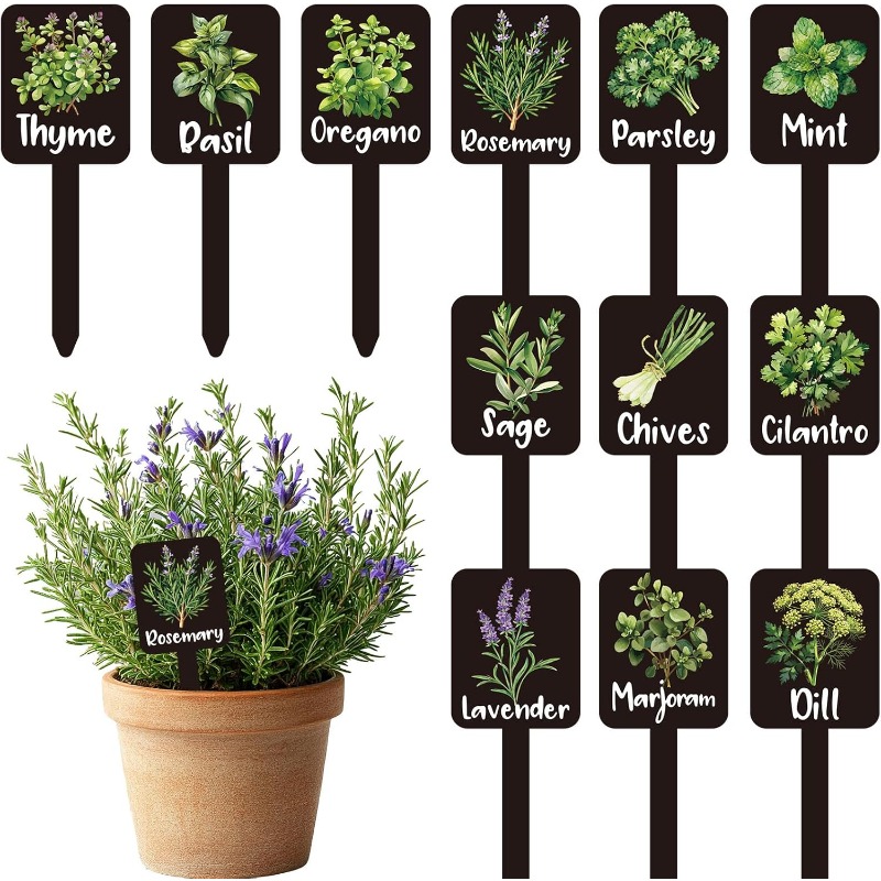 مجموعة من 24 قطعة من علامات ال - مراجعة Indoor Herb Garden وسعره