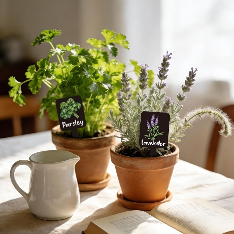 مجموعة من 24 قطعة من علامات ال - مراجعة Indoor Herb Garden وسعره
