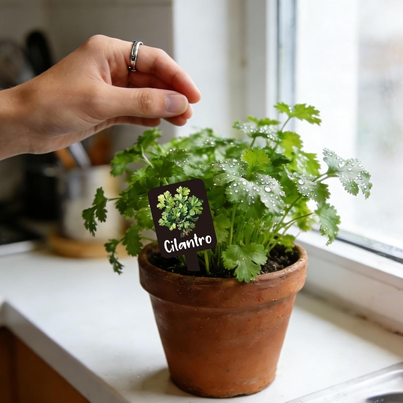 مجموعة من 24 قطعة من علامات ال - مراجعة Indoor Herb Garden وسعره
