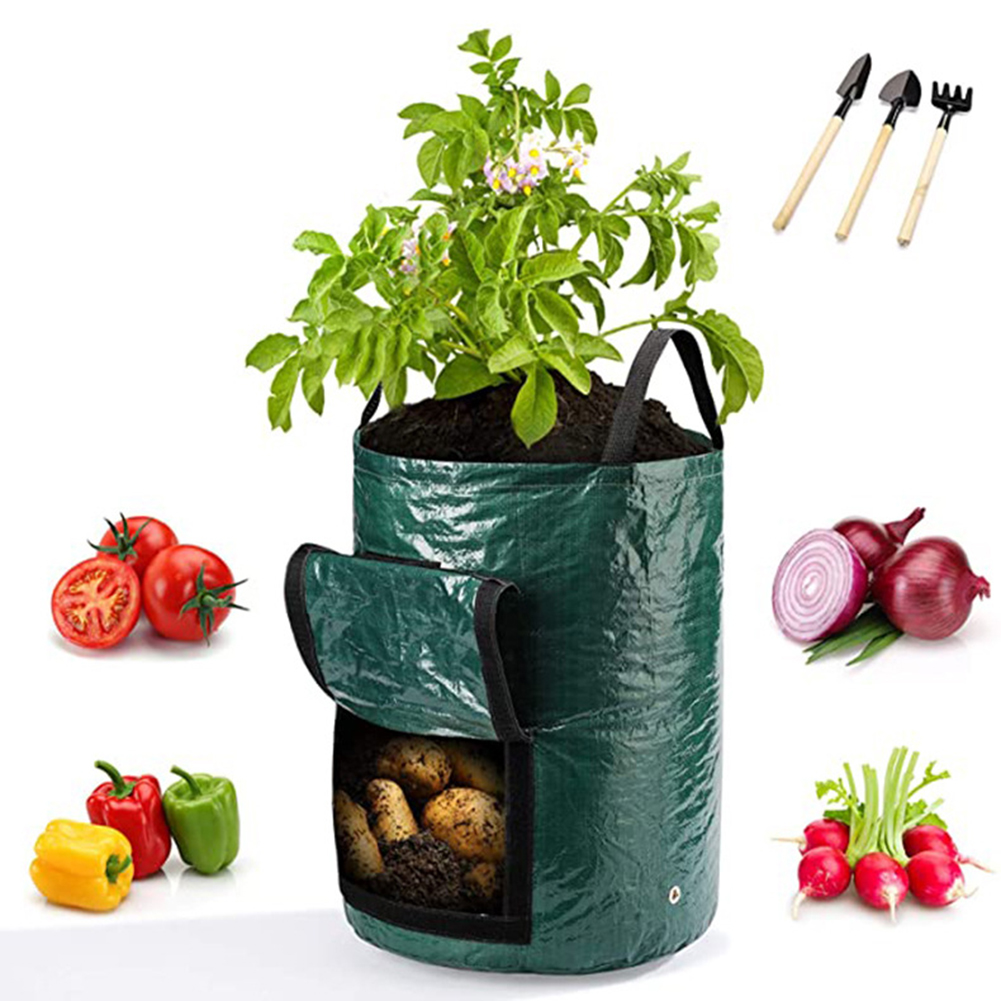 1 قطعة من أكياس الزراعة سعة 10 - مراجعة Grow Bag وسعره